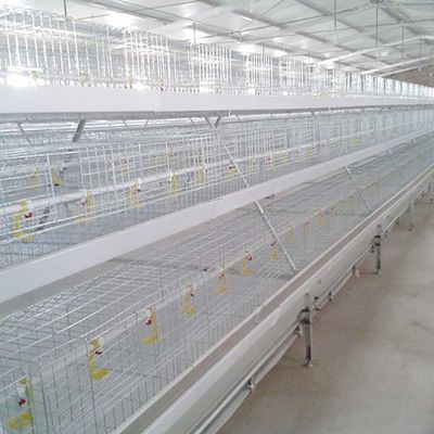 Kandang Ayam Broiler Makan Otomatis, Kandang Pakan Burung Desain Khusus