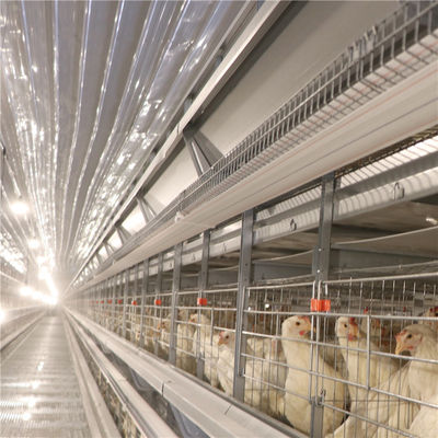 SGS Telur Baterai Lapisan Kandang Ayam Peternakan Unggas Tahan Korosi
