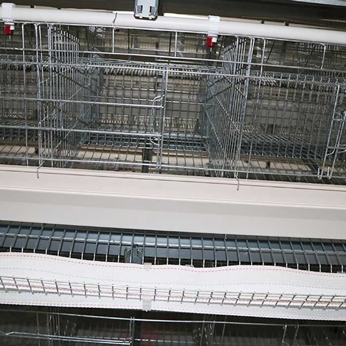 Sistem Kandang Ayam Tipe Lapisan Tahan Lama Kontrol Otomatis Persetujuan IS9001