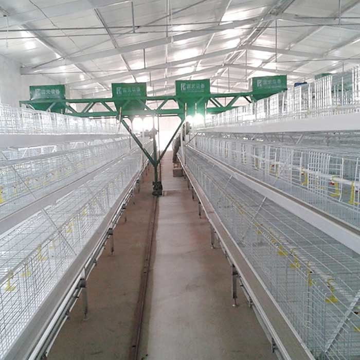 Kandang Ayam Pertanian Ayam Pedaging Tipe 3 Tingkat Kontrol Otomatis Mudah Untuk Menginstal