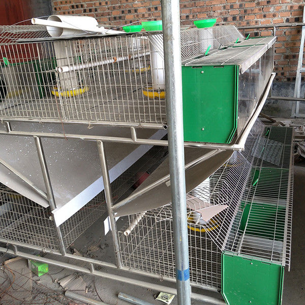 Industri 2 Lapisan Kawat Ayam Wanita Kandang Kelinci Listrik Galvanis