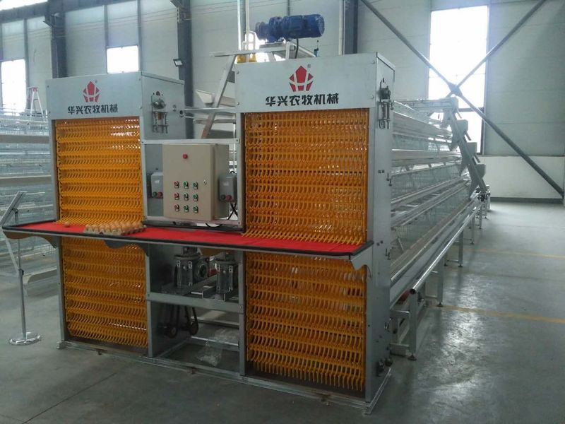 Henan Huaxing Poultry Equipments Co.,Ltd. lini produksi pabrik