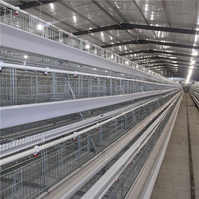 20 Tahun Kandang Ayam Broiler Kontrol Otomatis Ventilasi Dan Suhu