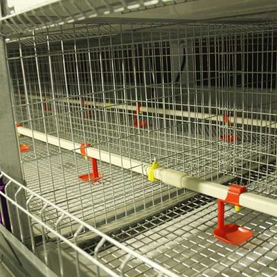 Hot Galvanized Wire Cage Bayi Ternak 264 Burung Kapasitas Perak Warna Putih