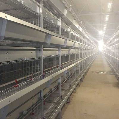 Sistem Pemberian Makanan Manual 45 Hari Sangkar Ayam, 3 Tingkatan Sangkar Pemeliharaan Ayam