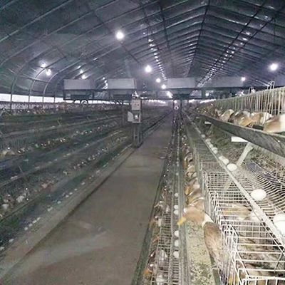 Kandang Peternakan Bebek Lapisan Ayam Bingkai Untuk Peternakan Unggas