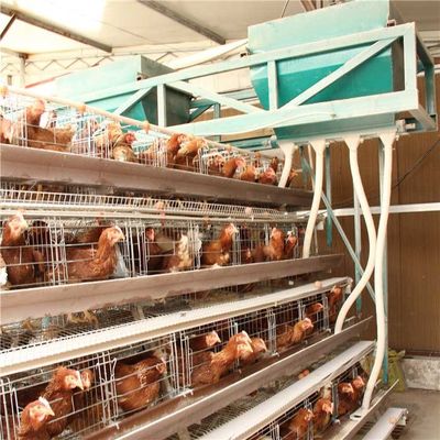 Peralatan Makan Unggas Kepadatan Tinggi, Penghematan Energi Pemasok Ayam Otomatis