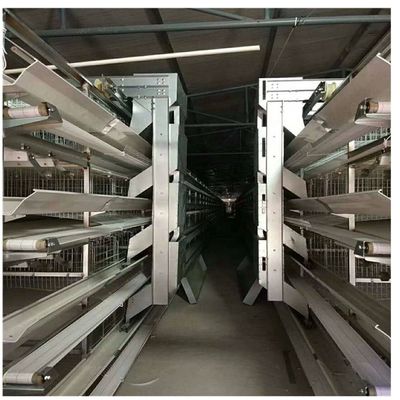 2 Pintu 1.25m × 1.00m × 0.63m Kandang Ayam Broiler Untuk Peternakan