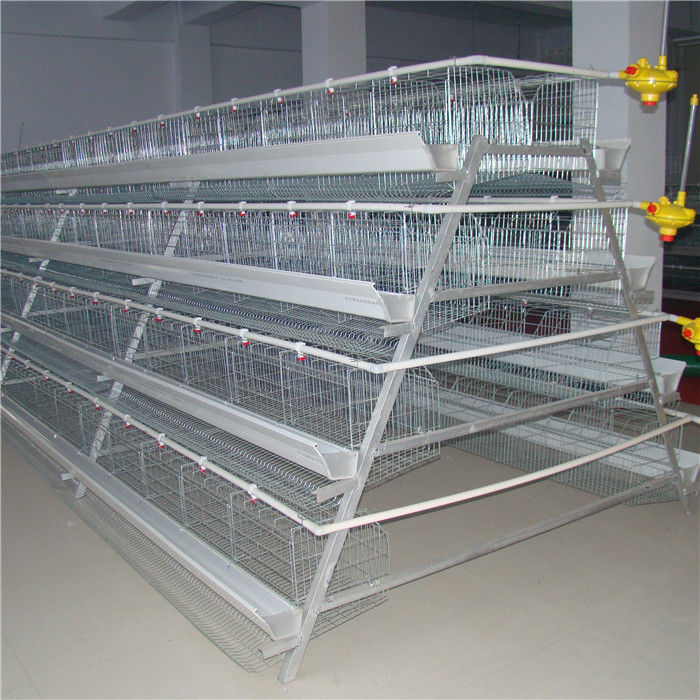 Peternakan Ayam 3 Tingkatan A Frame Layer Cages Sistem Kotoran Otomatis