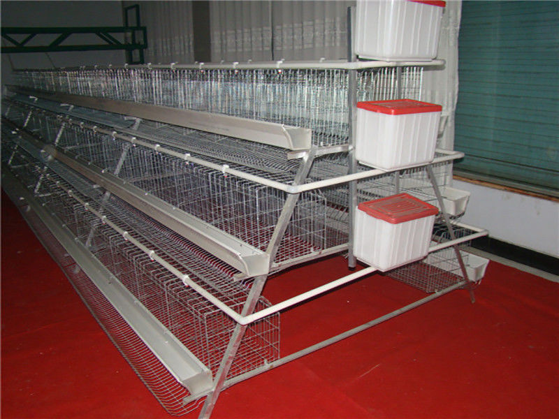 Peternakan Ayam 3 Tingkatan A Frame Layer Cages Sistem Kotoran Otomatis