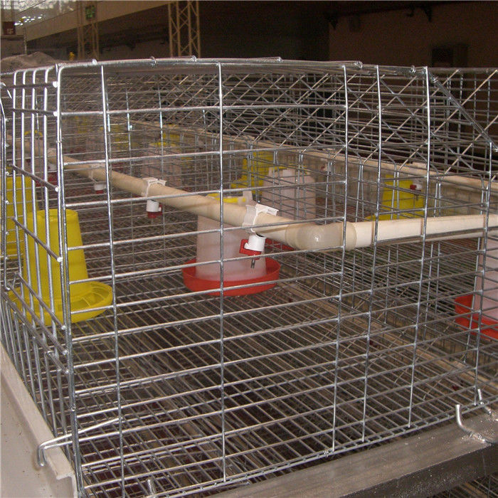 Q235 Steel Wire Baby Chick Cage 264 Sistem Makan Burung Sistem Minum