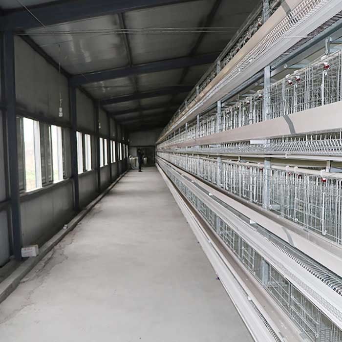 Telur Memegang Kandang Pertanian Lapisan Kabel, Kandang Ayam Lapisan Dirancang Secara Ilmiah
