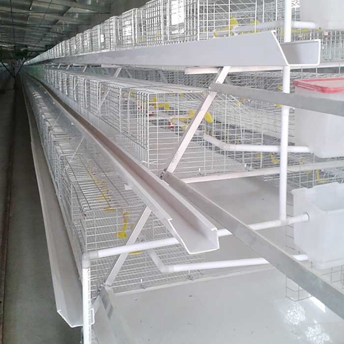 Sistem Kandang Ayam Broiler Dicelup Panas, Baja Unggas Kandang Teknologi Tinggi Q235