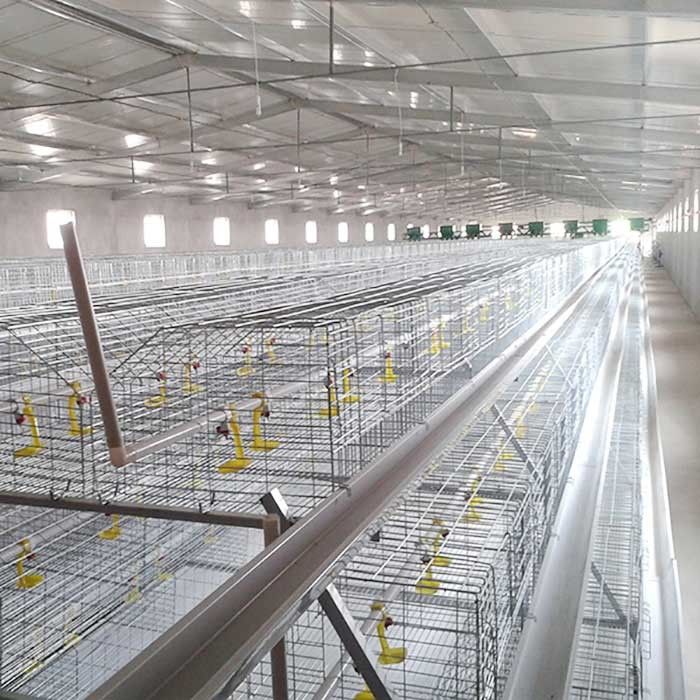 Kandang Baterai Tahan Corrision Untuk Ayam Pedaging, Kontrol Otomatis Kandang Ayam Hi Tech