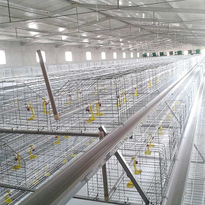 Kandang Baterai Tahan Corrision Untuk Ayam Pedaging, Kontrol Otomatis Kandang Ayam Hi Tech