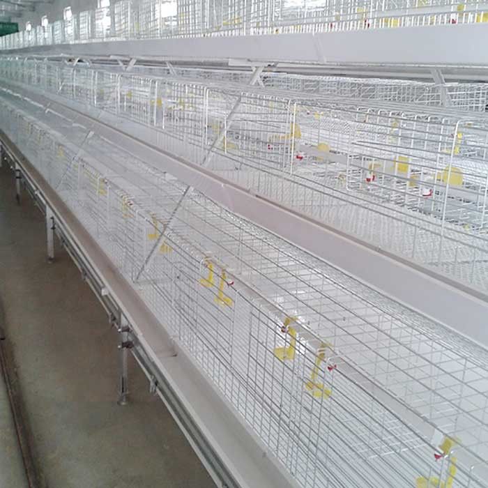 Sangkar Ayam Broiler Waterproof 380V Hot Permukaan Galvanis 20 - 25 Tahun Garansi