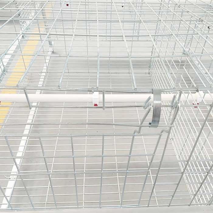 Sangkar Ayam Broiler Waterproof 380V Hot Permukaan Galvanis 20 - 25 Tahun Garansi