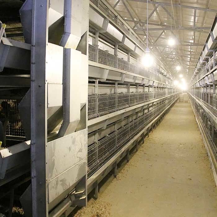 Sistem Pemberian Makanan Manual 45 Hari Sangkar Ayam, 3 Tingkatan Sangkar Pemeliharaan Ayam