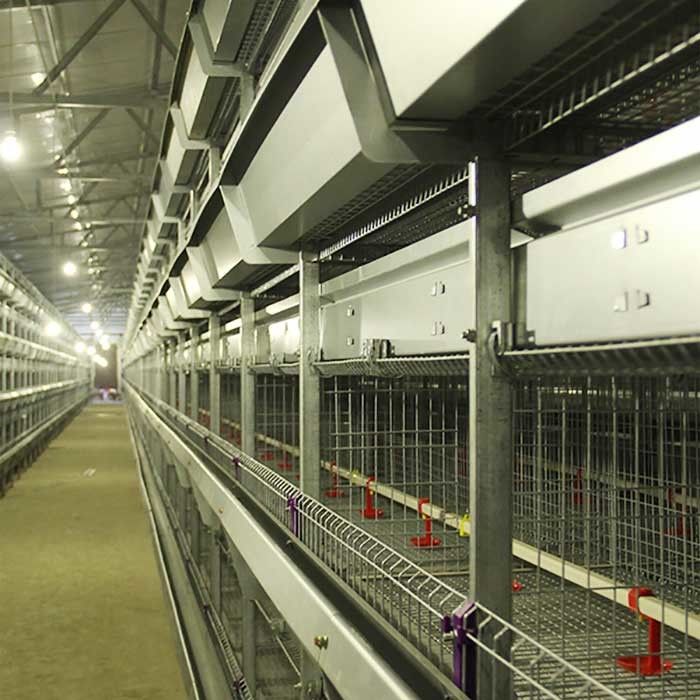 Kawat Kandang Ayam Peternakan Unggas, Kandang Ayam Berteknologi Tinggi Tahan Suhu Tinggi