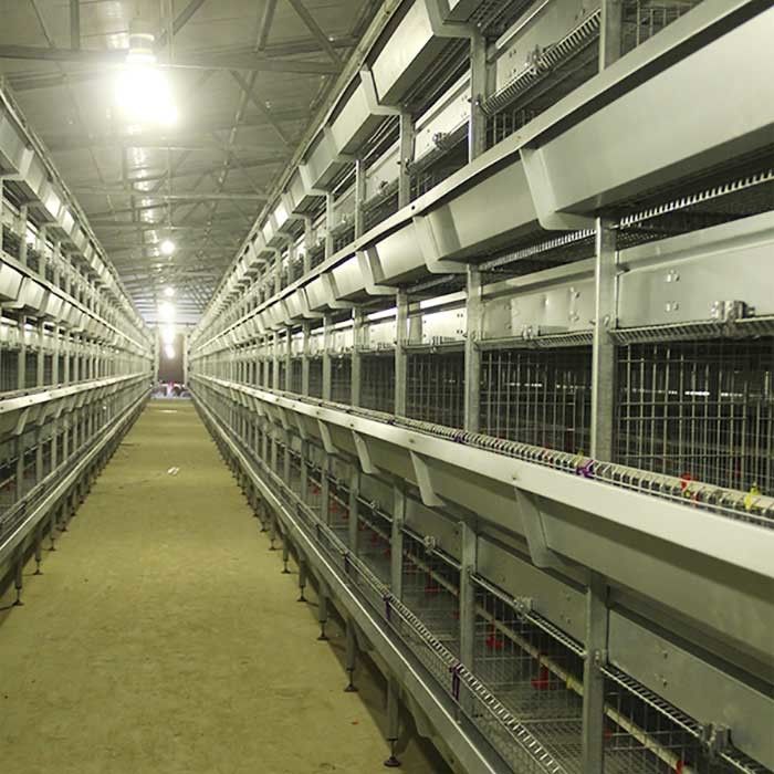 Kawat Kandang Ayam Peternakan Unggas, Kandang Ayam Berteknologi Tinggi Tahan Suhu Tinggi