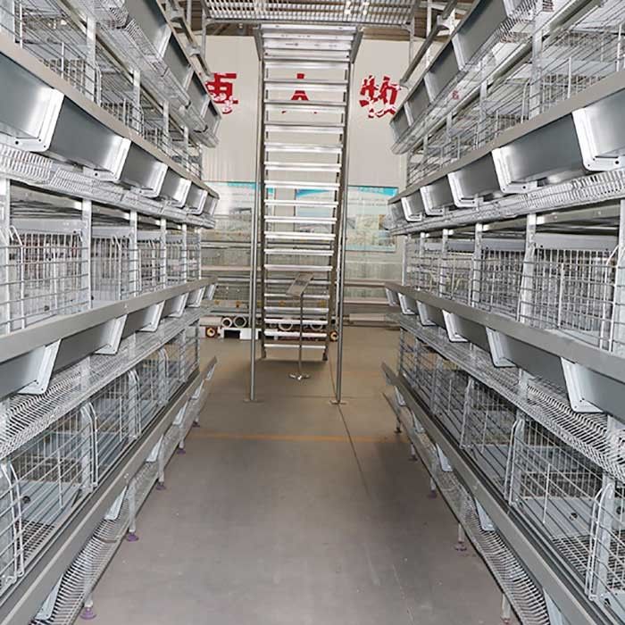 Kurang Cacat H Type Layer Cage, Layer Farming Equipment Untuk Ayam