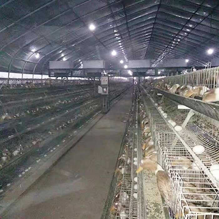 Kandang Peternakan Bebek Lapisan Ayam Bingkai Untuk Peternakan Unggas