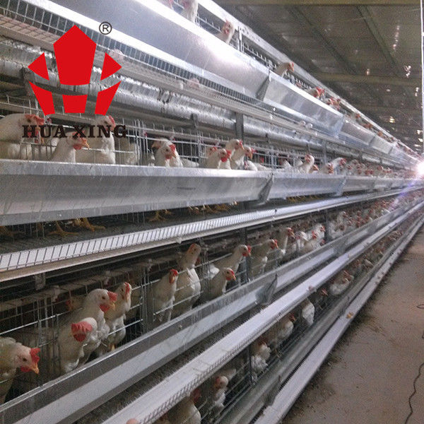 Produsen Kandang 90 - 160 Burung Peralatan Peternakan Ayam Petelur Galvanis Panas Lapis Kandang Ayam