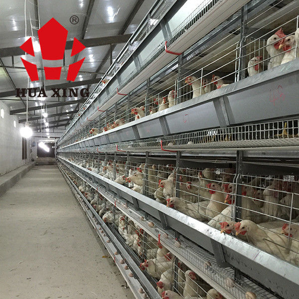 Kandang Ayam Lapisan Baterai Dengan Peralatan Peternakan Unggas Untuk Peternakan Unggas Hewan