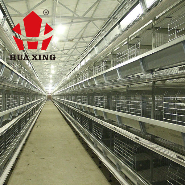 Kandang Ayam Lapisan Baterai Dengan Peralatan Peternakan Unggas Untuk Peternakan Unggas Hewan