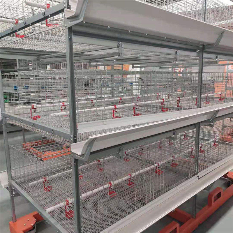 H Type Automatic Baby Chick Cage Day Old Layer Chicks Raising