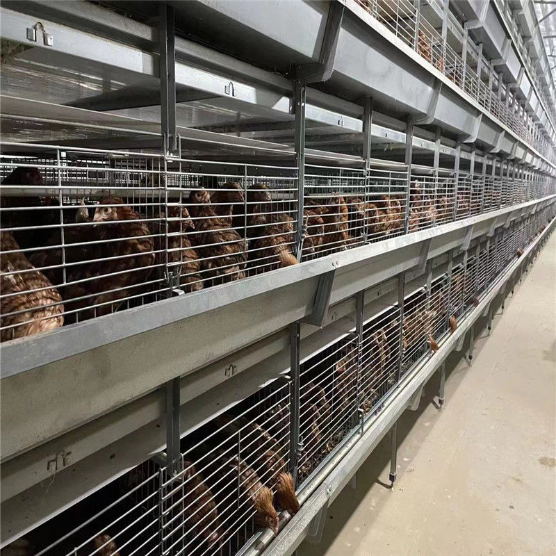 4 Tier 192 Kandang Ayam Bayi Burung Untuk Pembibitan Ayam Muda