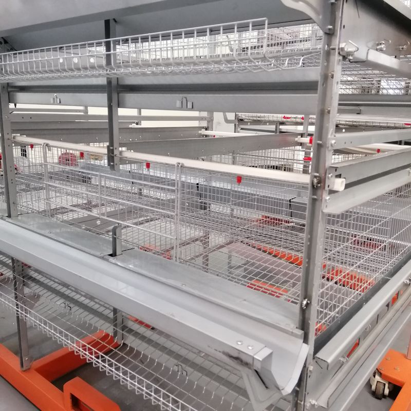 Cina Pabrik Kandang Bebek Meletakkan Peralatan Peternakan Bebek 3 Tingkatan Lapisan Kandang Unggas Bebek
