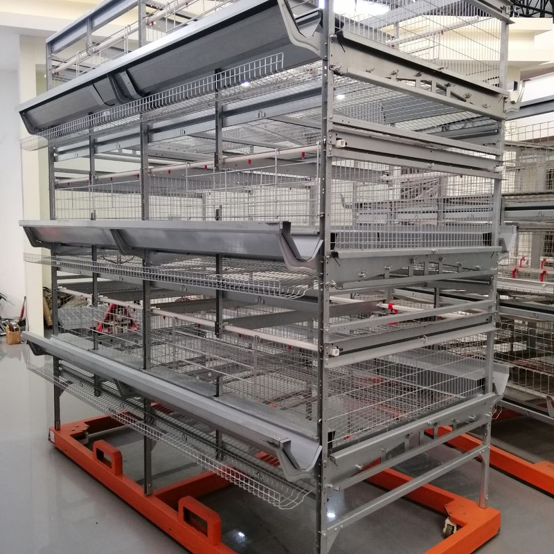 Pabrik Kandang Bebek Otomatis Tahan Lama Kandang Bebek Komersial Untuk Telur