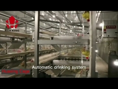 High Performance Wire Breeding Cages 24 Cell Commercial Use