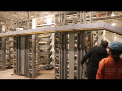 Kandang burung puyuh layer otomatis