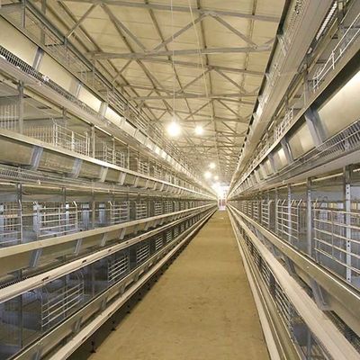 Peralatan Peternakan Unggas Lapisan Otomatis Baterai Sistem Kandang Lapisan Telur Ayam
